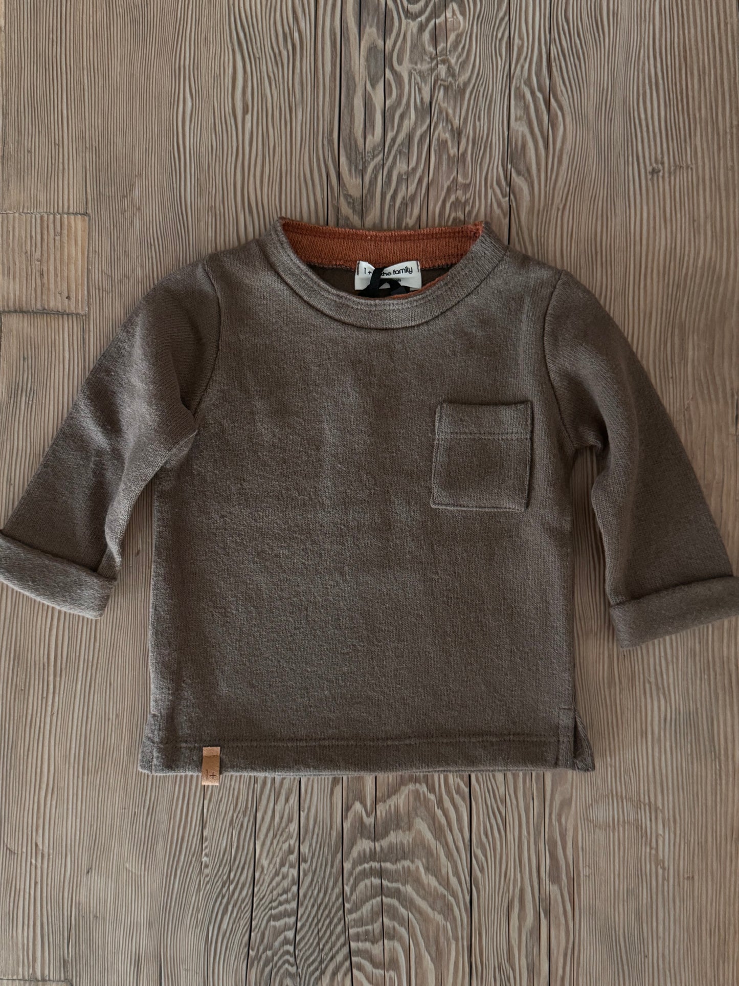 1 + in the Family Pullover Lukas